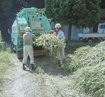 樹木破砕車による刈草破砕